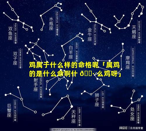 鸡属于什么样的命格呢「属鸡的是什么命啊什 🌷 么鸡呀」